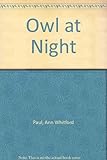 Owl at night