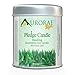 Aurorae 6.8 oz Eucalyptus Scented Soy Aromatherapy Candle