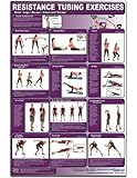 Resistance Tubing Exercises-Back/Legs/Biceps/Chest & Triceps Laminated