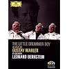 Leonard Bernstein: The Little Drummer Boy [DVD] [2007]