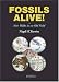 Fossils Alive!: New Walks in an Old Field