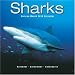 SHARKS 2010 Wall Calendar #30121-10