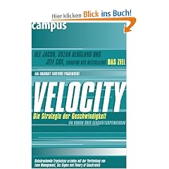 Velocity - Die Strategie der Geschwindigkeit: Ein Roman �ber Gesch�ftsoptimierung