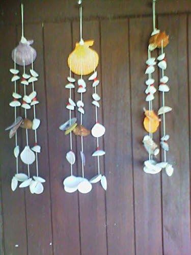 A Bunch of Sea Shells for Doors or Windows or Trees, or Other Parts of the House As Needed. (Pack of 3)