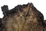 Buffalo Hide - Delicious Color Tones