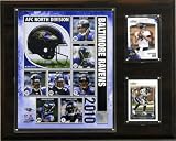 NFL Baltimore Ravens 2010 Team Plaque