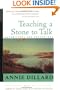 Teaching a Stone to Talk