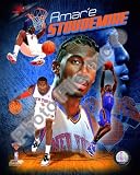 Amare Stoudemire - NY Knicks NBA 8x10 Photo (portrait)