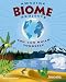 Amazing Biome Projects You Can Build Yourself (Build It Yourself series)
