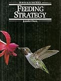 Feeding strategy