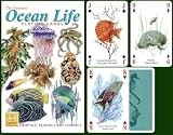 Ocean Life Standard Poker Playing Card Deck featuring All your favorite Sea Creatures