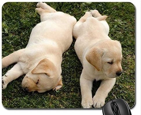 2 CUTE LABS Mouse Pad, Mousepad (Dogs Mouse Pad) by icecream design