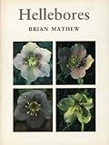 Hellebores