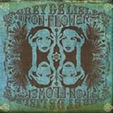 Iron Flowers