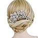 EVER FAITH Bridal Silver-Tone Flower Bumble Bee Hair Comb Clear Austrian Crystal