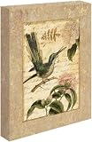 Collage Naturel II by Philippa Katz - Gallery Wrapped Giclee Canvas Art