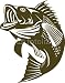 Wallmonkeys Peel and Stick Wall Decals - Largemouth Bass - Removable Graphic