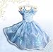 2015 New Cinderella Dress Princess Costume Butterfly Girl