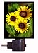 Floral / Flower Night Light - Organics Sunflower - LED NIGHT LIGHT