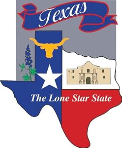 Texas State Garden Size Applique Flag