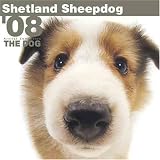 THE DOG Artlist - Shetland Sheepdog (Sheltie) 2008 Wall Calendar