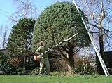 Hedge Trimming - 18W x 13H - Peel and Stick Wall Decal by Wallmonkeys