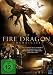 The Fire Dragon Chronicles