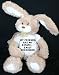 Plush Stuffed Bunny (Molasses) toy with My friends are my estate. - Emily Dickinson T-Shirt