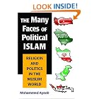 Click here to buy The Many Faces of Political Islam: Religion and Politics in the Muslim World by  Mohammed Ayoob.