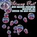 Strung Out on Panic! At The Disco: The String Quartet Tribute