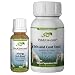 PetAlive Allergy Itch Ease and Skin & Coat Tonic ComboPack