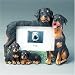 Rottweiler Photo Frame (4x6)