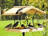 Birds Choice Wrought Iron & Cedar Fly-Thru Bird Feeder