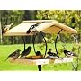 Bird ins Choice Wrought Iron And Cedar Fly-Thru Platform Bird Feeder
