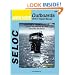 Johnson/Evinrude Outboards, 1973-91 Repair Manual, Covers all 60-235 HP, 3-Cylinder, V4 and V6, 2-Stroke Models, Includes Jet Drives (Seloc)