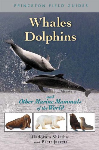 Marine Life