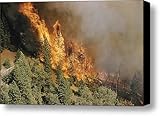 IMAGE OF A Wall Of Raging Wildfire Hundreds Canvas Print / Canvas Art - Artist J. Baylor Roberts