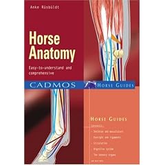 Horse Anatomy: Easy-to-Understand and Comprehensive