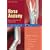 Horse Anatomy: Easy-to-understand and Comprehensive (Cadmos Horse Guides)