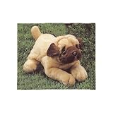 Bestever Percy Pug Dog - Soooo Soft!