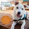 The Possibility Dogs: What a Handful of 'Unadoptables' Taught Me about Service, Hope, and Healing