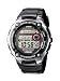 CASIO WV200E1AVEF