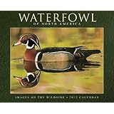 waterfowl of north america 2012 calendar