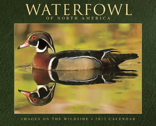 Waterfowl of North America 2012 Calendar