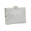 La Regale Soft Bodied Rhinestone Clutch