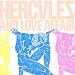 Hercules and Love Affair