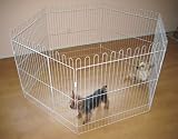 White Dog / Puppy Exercise Pens With Door--30H x 30W (x 6 panels)
