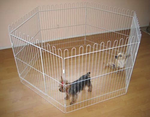 White Pet Puppies Dog Small Animal Play Pens With Door–30″H