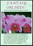 DVD Fantasy Orchids: The Fascinating World of Orchids code image