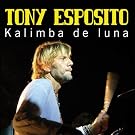 Kalimba de luna